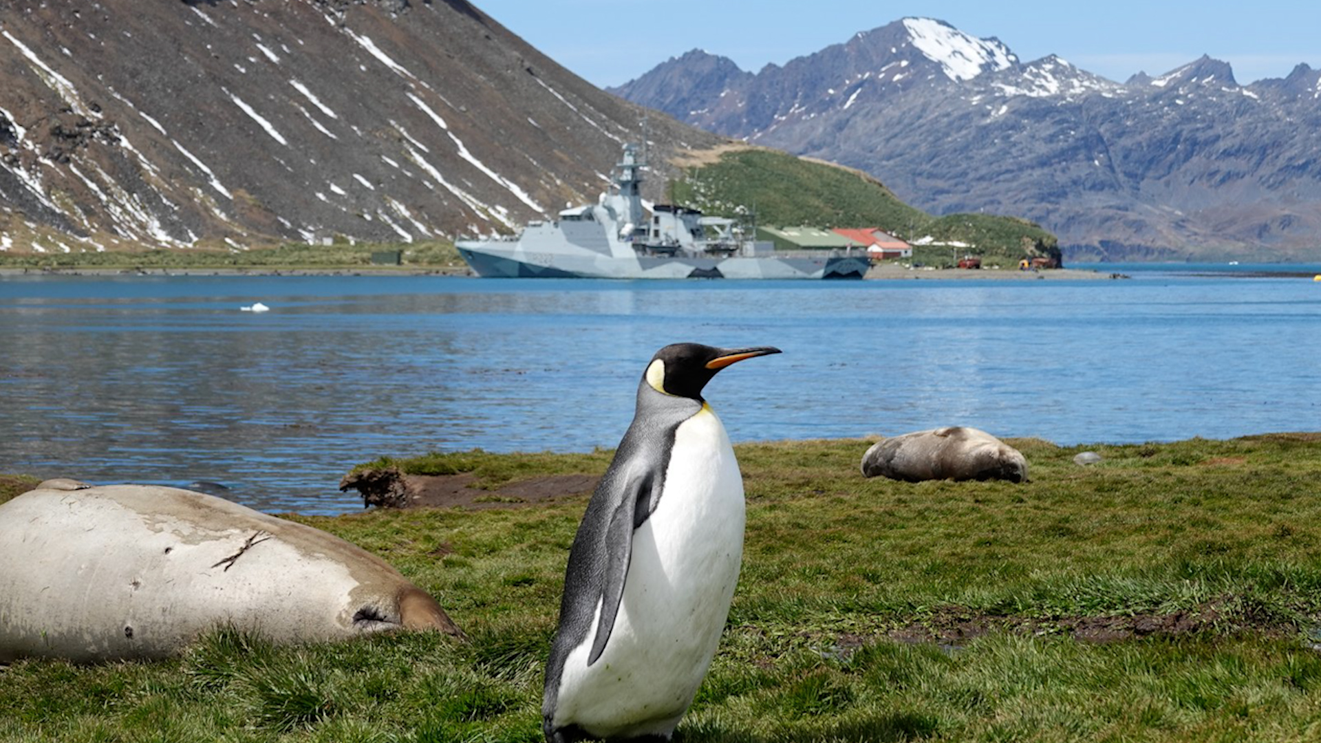 HMS Forth pays the island of South Georgia a visit 17122023 CREDIT HMS Forth X.jpg