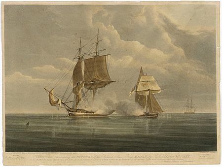 HMS Monkey