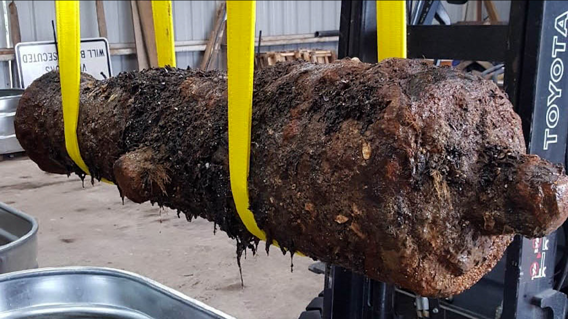 Cover image: A cannon believed to be from HMS Rose (Picture: Royal Navy).