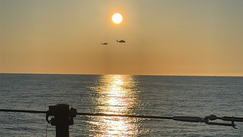 A Merlin flies over Norwegian waters