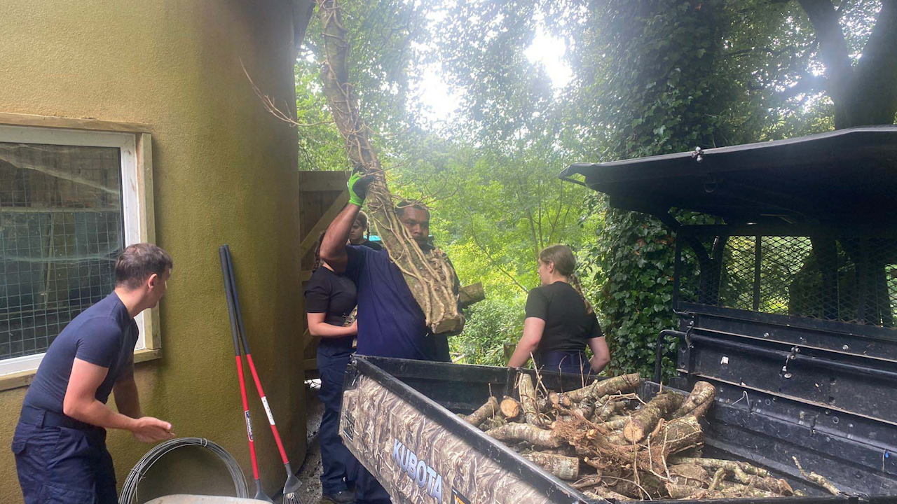 HMS St Albans' crew members bonded over the building of the new enclosure at Dartmoor Zoo (Picture: Royal Navy).