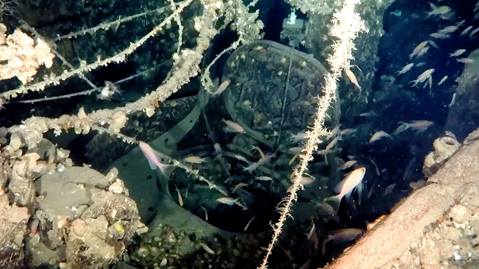 HMS Trooper WW2 submarine discovered Icarian Sea Greece Oct 2024 2 CREDIT Kostas Thoctarides HMS Trooper