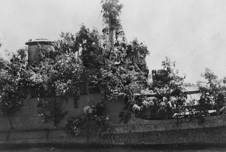 HNLMS_Abraham_Crijnssen_Covered_In_Branches.