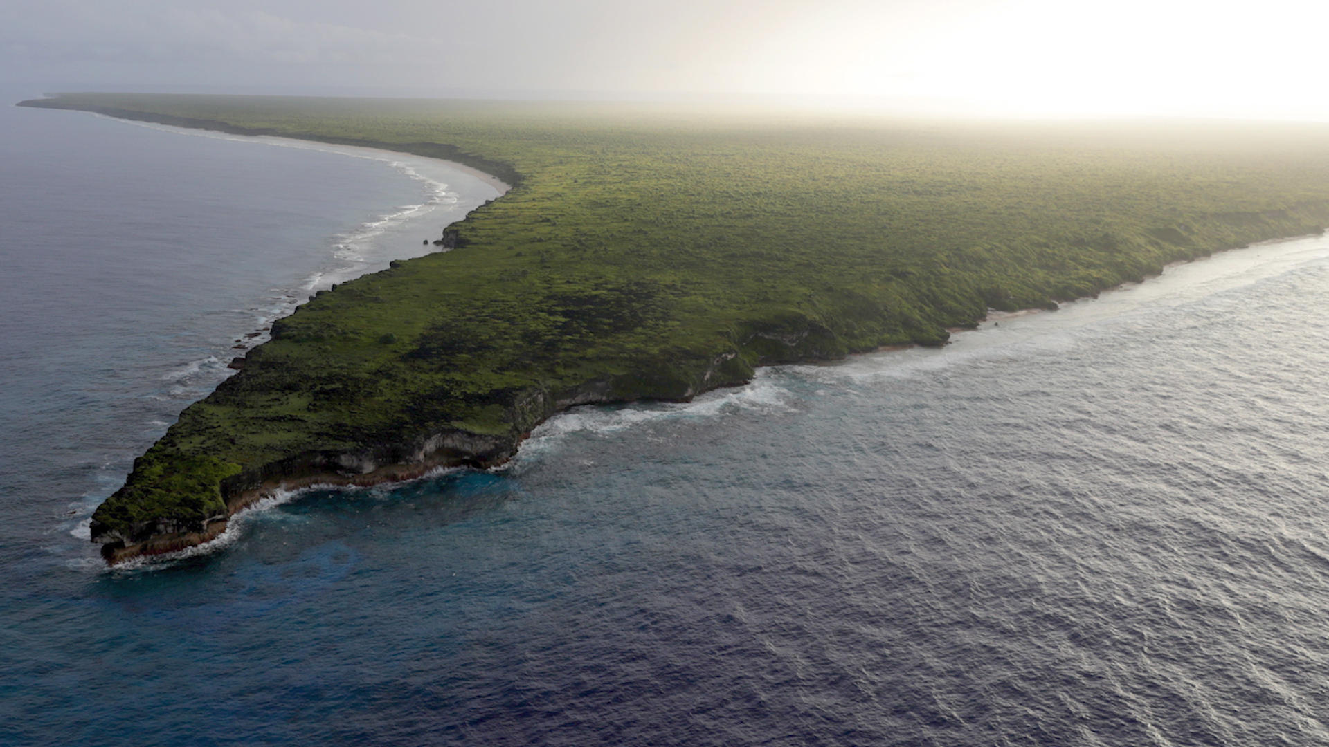 Henderson Island, South Pacific (Picture: Royal Navy).