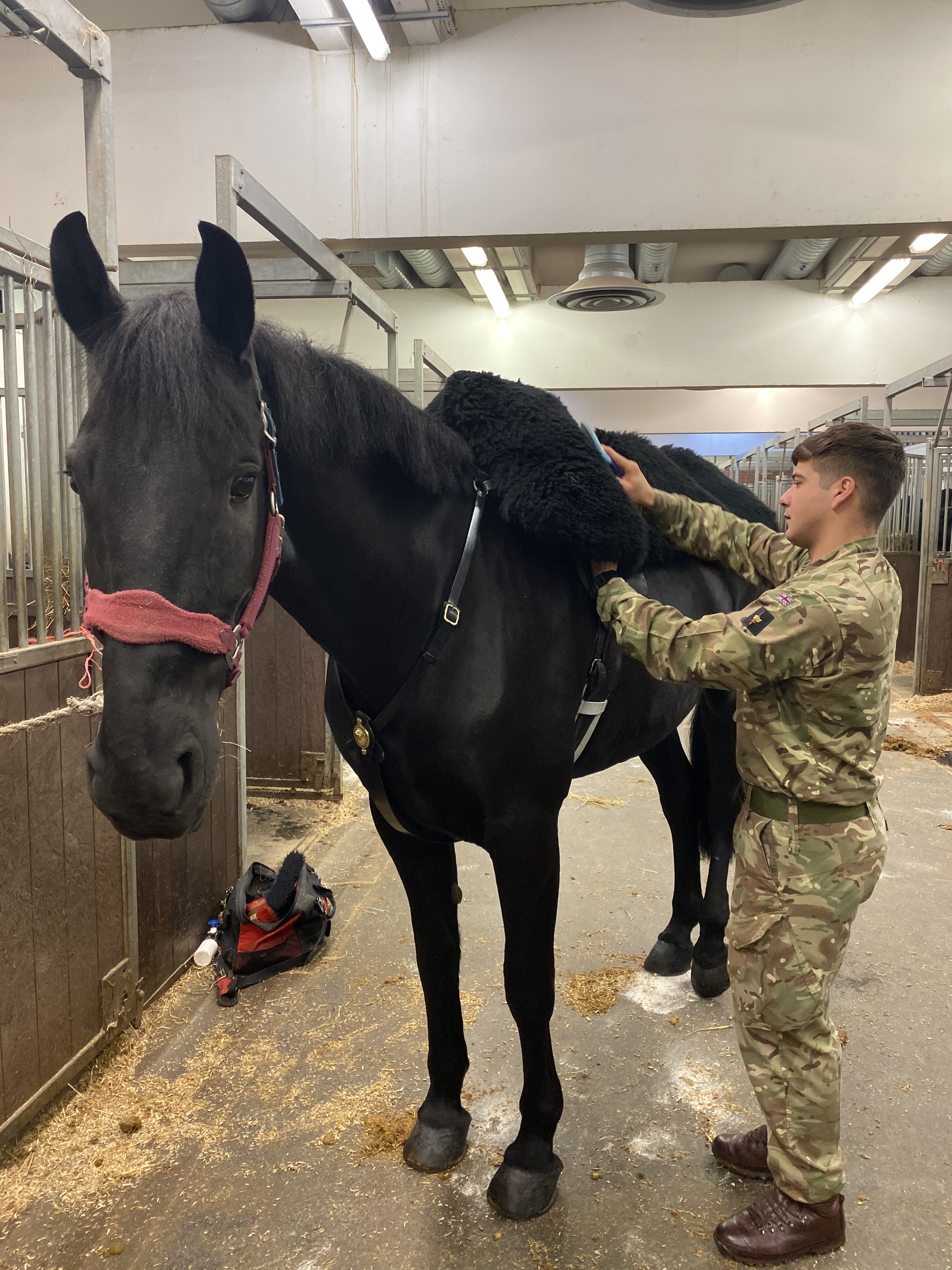 More than 200 horses were involved in the ceremony. 
