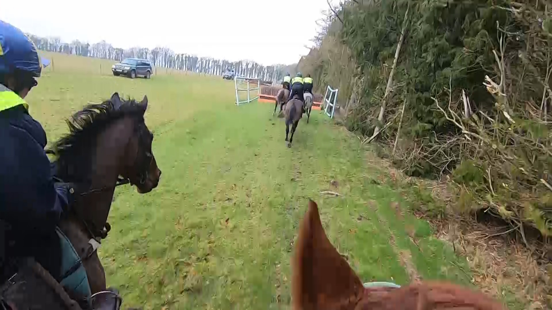Horse GoPro Credit BFBS 040302019.jpg