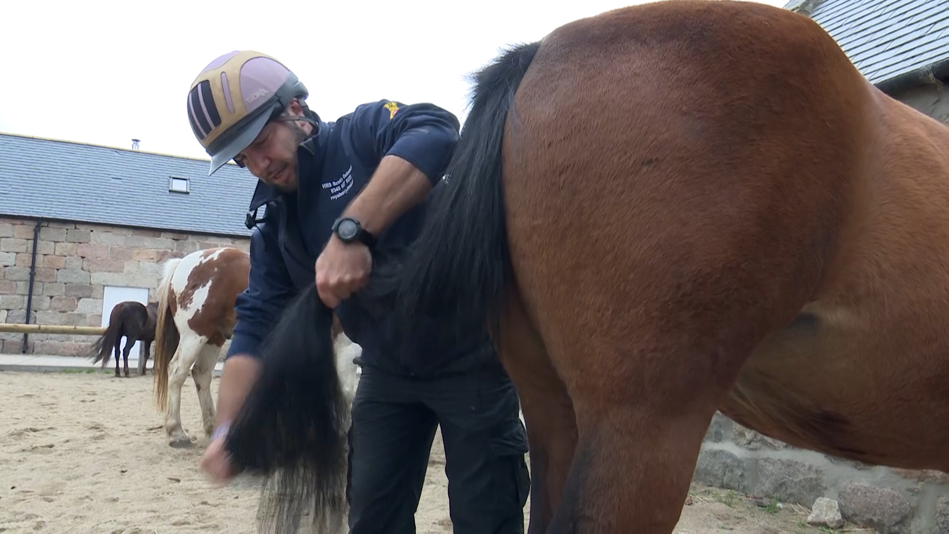 Veterans learnt about all aspects of horsemanship. 