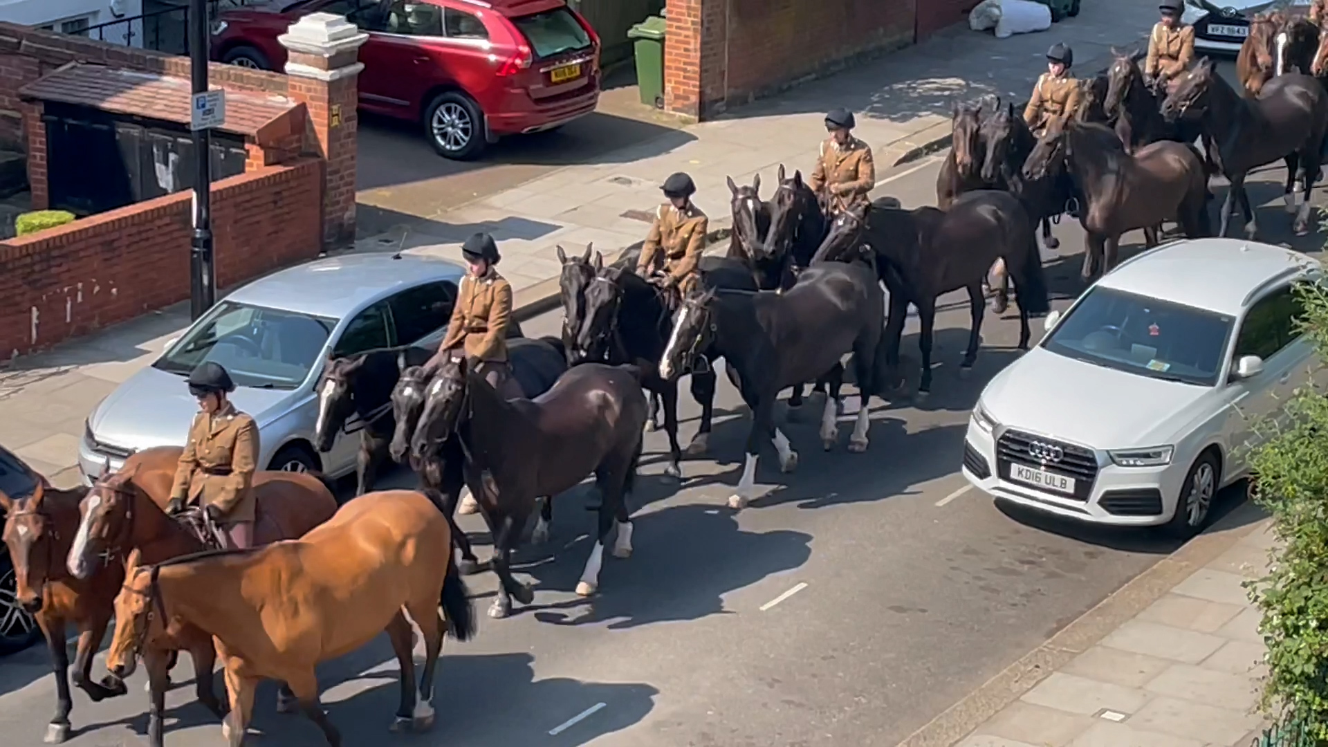 The King's Troop Royal Horse Artillery exercise their horses in a London street