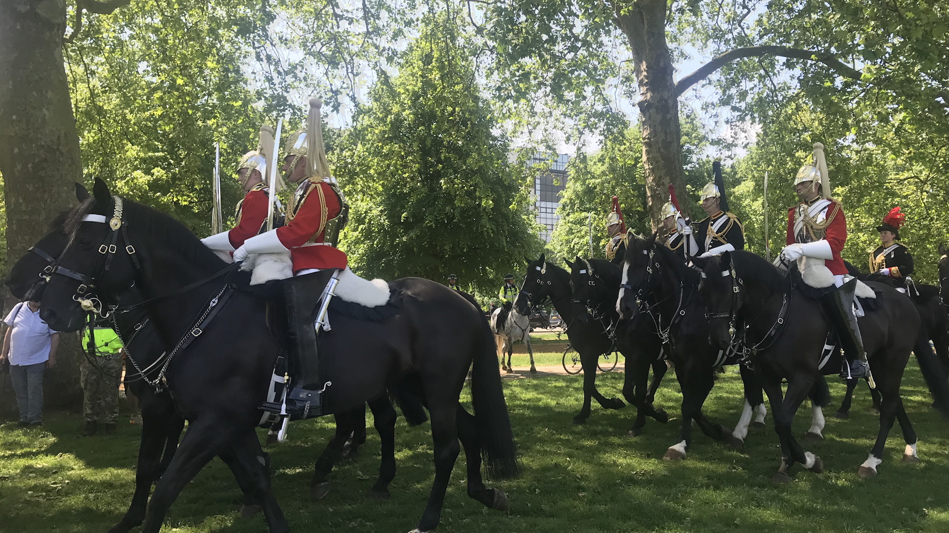 House Cavalry Mounted Regiment in Hyde Park during inspection ahead of Queen's birthday parade 03062