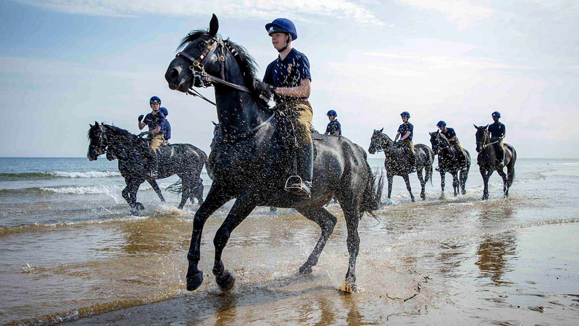 Household Cavalry Mounted Regiment sea swim Norfolk annual summer training camp 190721 CREDIT MOD