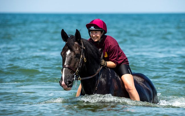Household Cavalry training in deep water on beach in Norfolk 