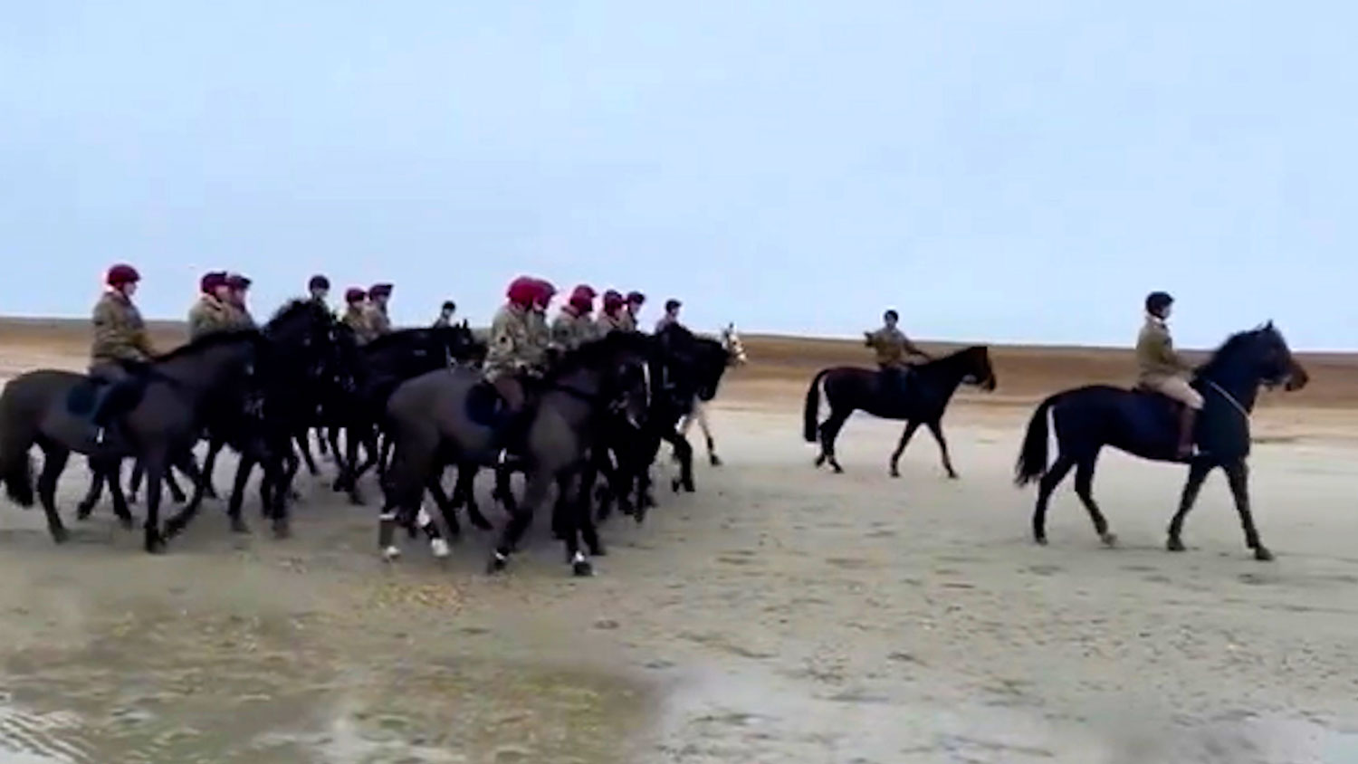Household Cavalry takes horses to Hayling Island Beach CREDIT @ArmyInLondon Twitter