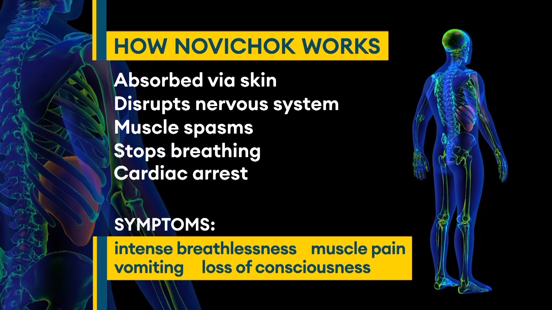 How novichok works animation gfx 040321 CREDIT BFBS.jpg
