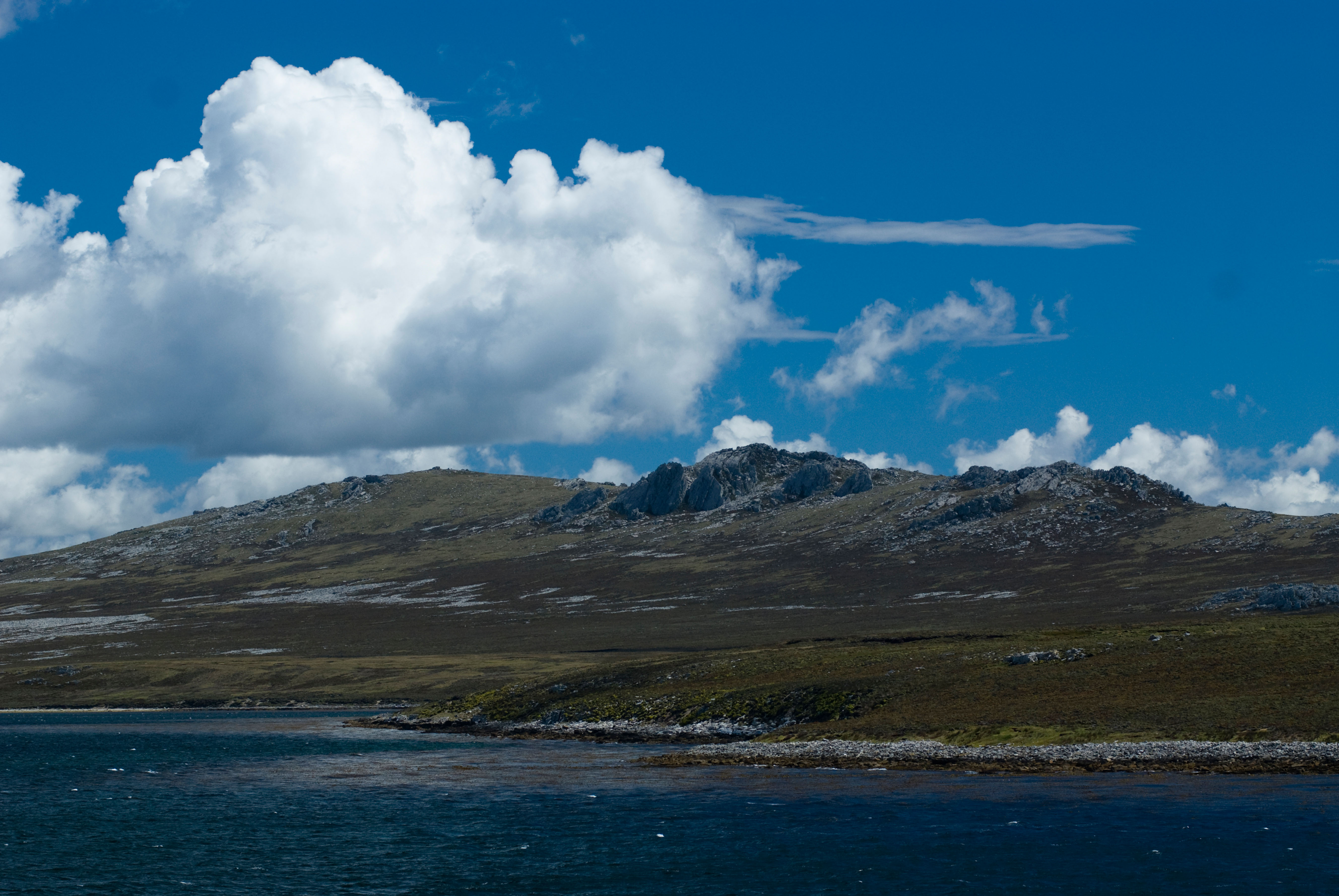 IMAGE ID BN3NJ1 Shores of the Falklands Falkland Islands 080108 CREDIT Scubazoo, Alamy Stock Photo