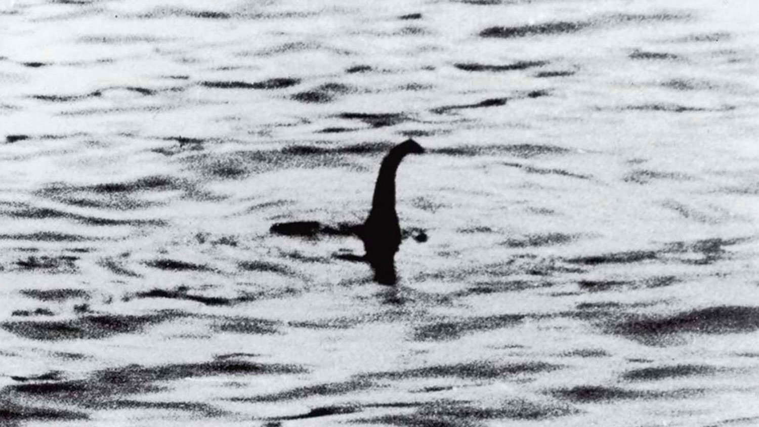 Image ID 2B6AGF4 the most famous photograph of the Loch Ness Monster. The so-called Surgeon's Photograph was taken by gynaecologist Lt Col Robert Wilson before 1934 CREDIT Pictorial Press Ltd Alamy Stock Photo EXP 231124