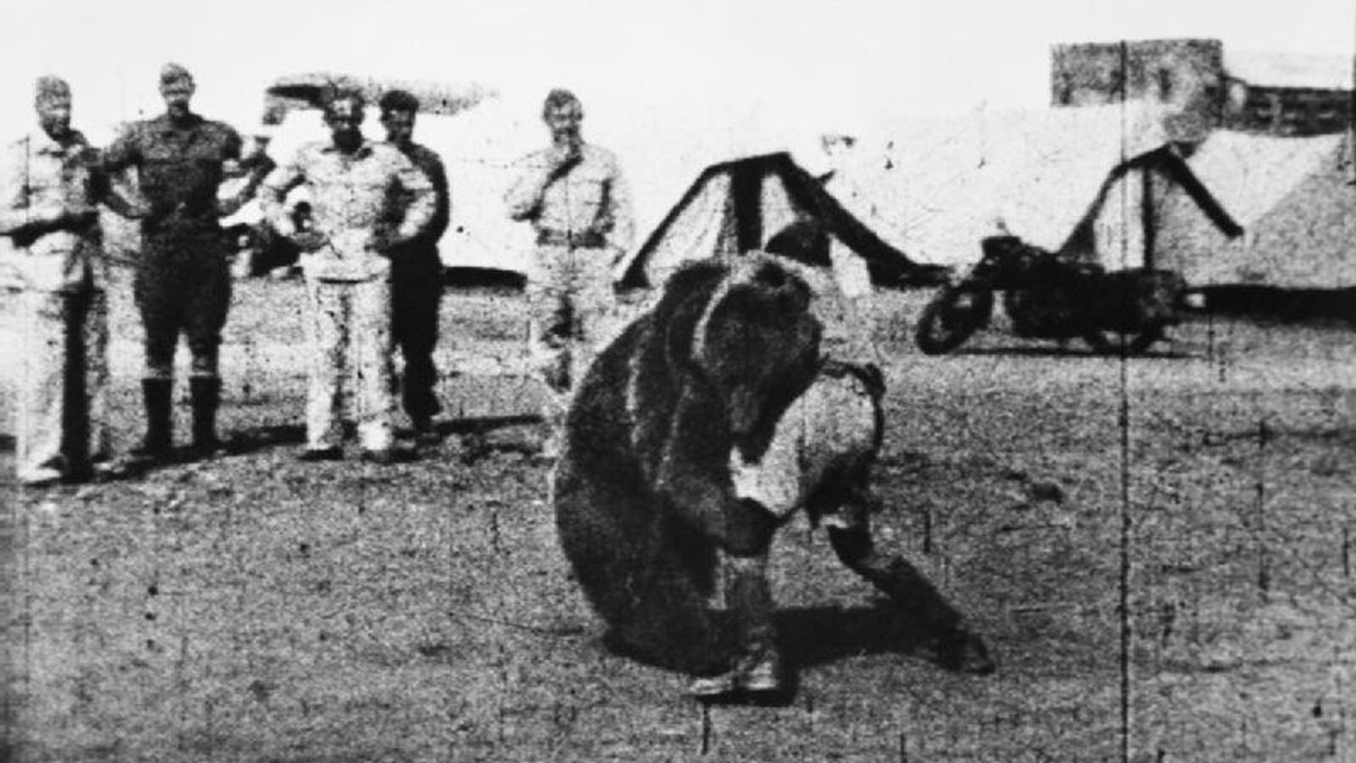 Image ID MWNTBM Troops of the Polish 22 Transport Artillery Company watch as one of their comrades play wrestles with Wojtek their mascot bear during their service in the Middle East CREDIT The Picture Art Collection Alamy Stock Photo 231124