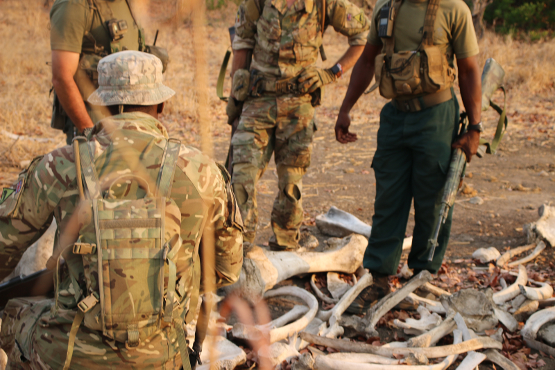 British Army troops and Malawian Park Rangers