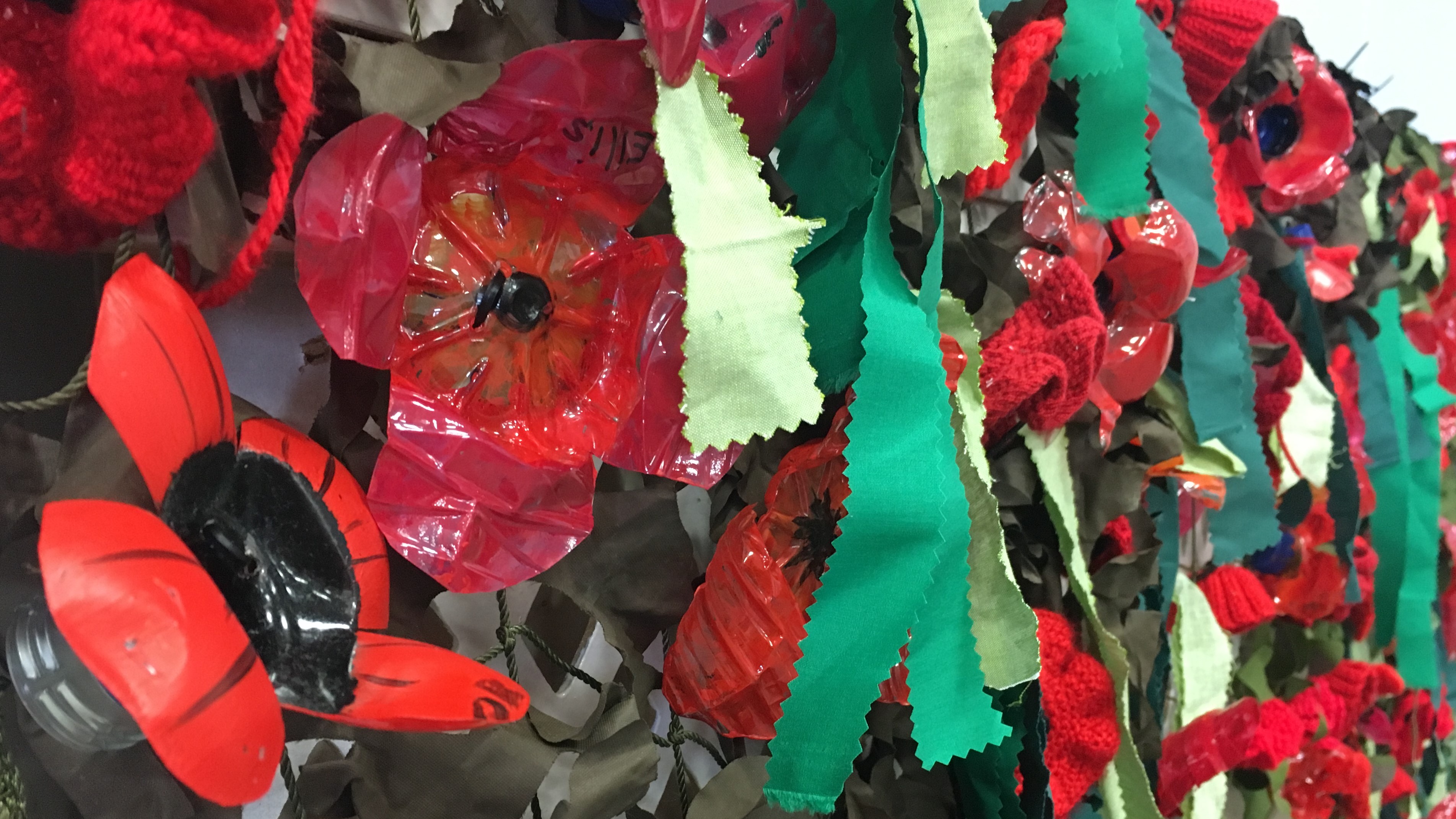  “Salisbury Remembers" Poppies