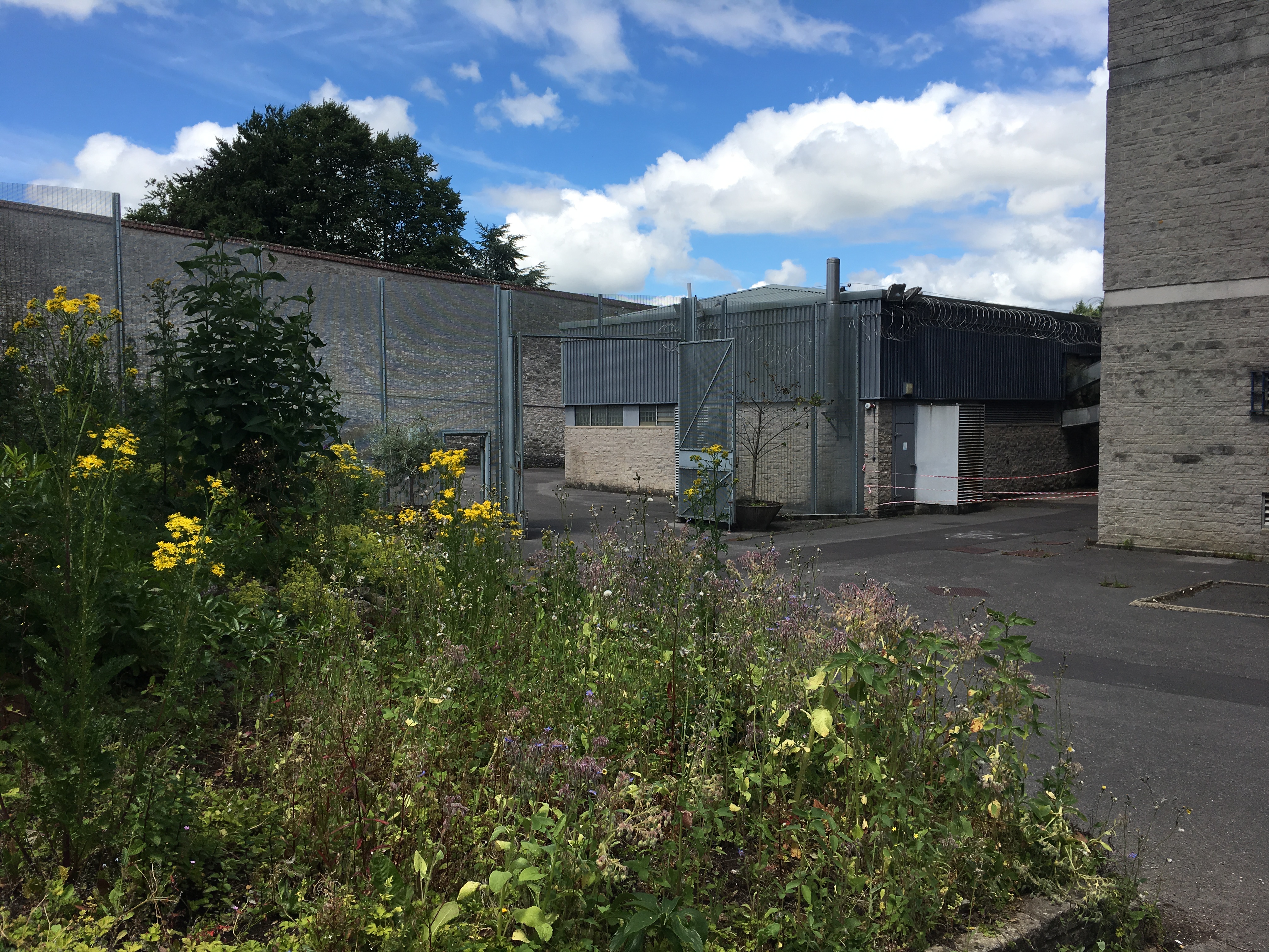 Executed soldiers lie in unmarked graves in HMP Shepton Mallet grounds