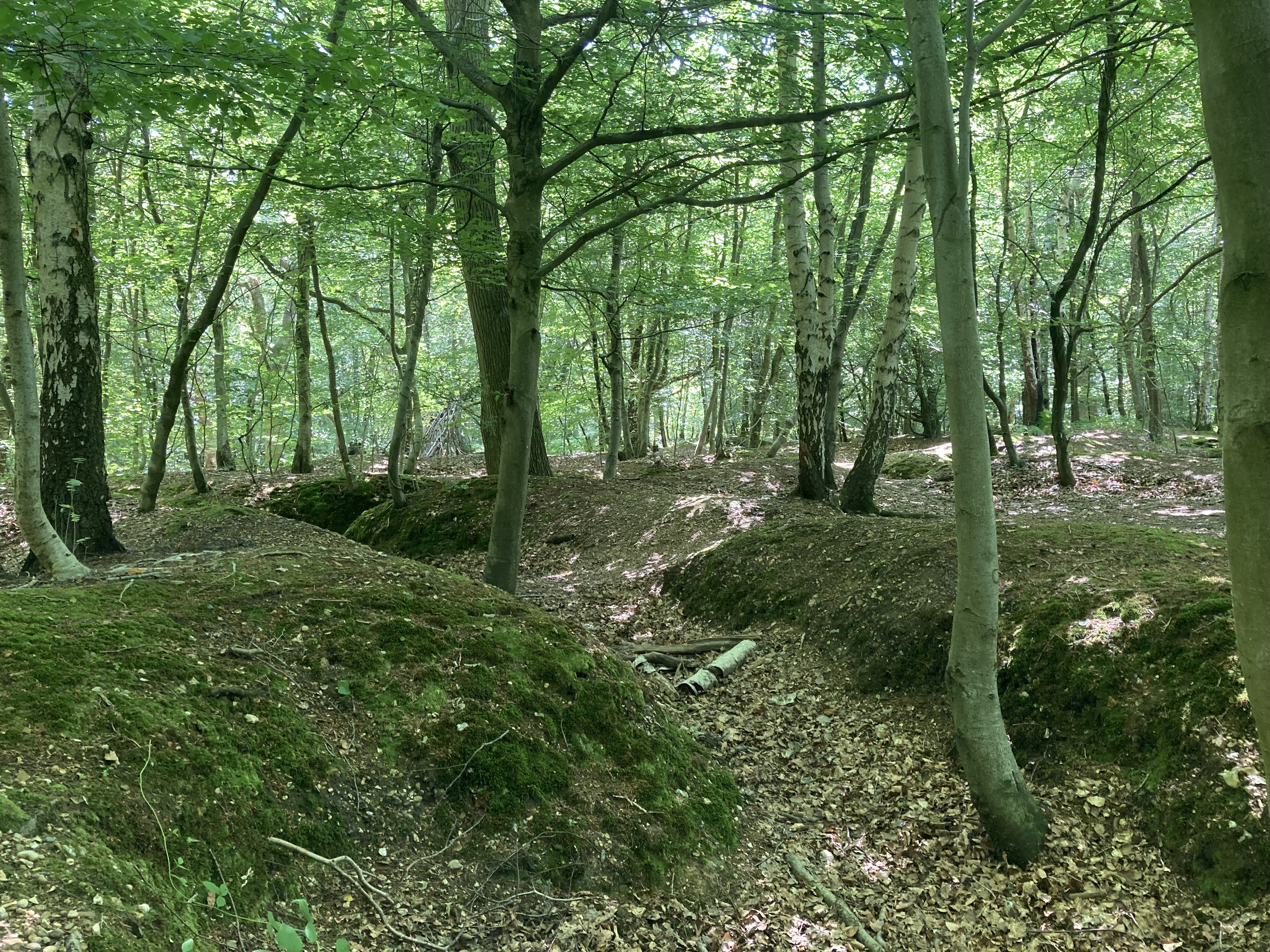 training trenches marlow