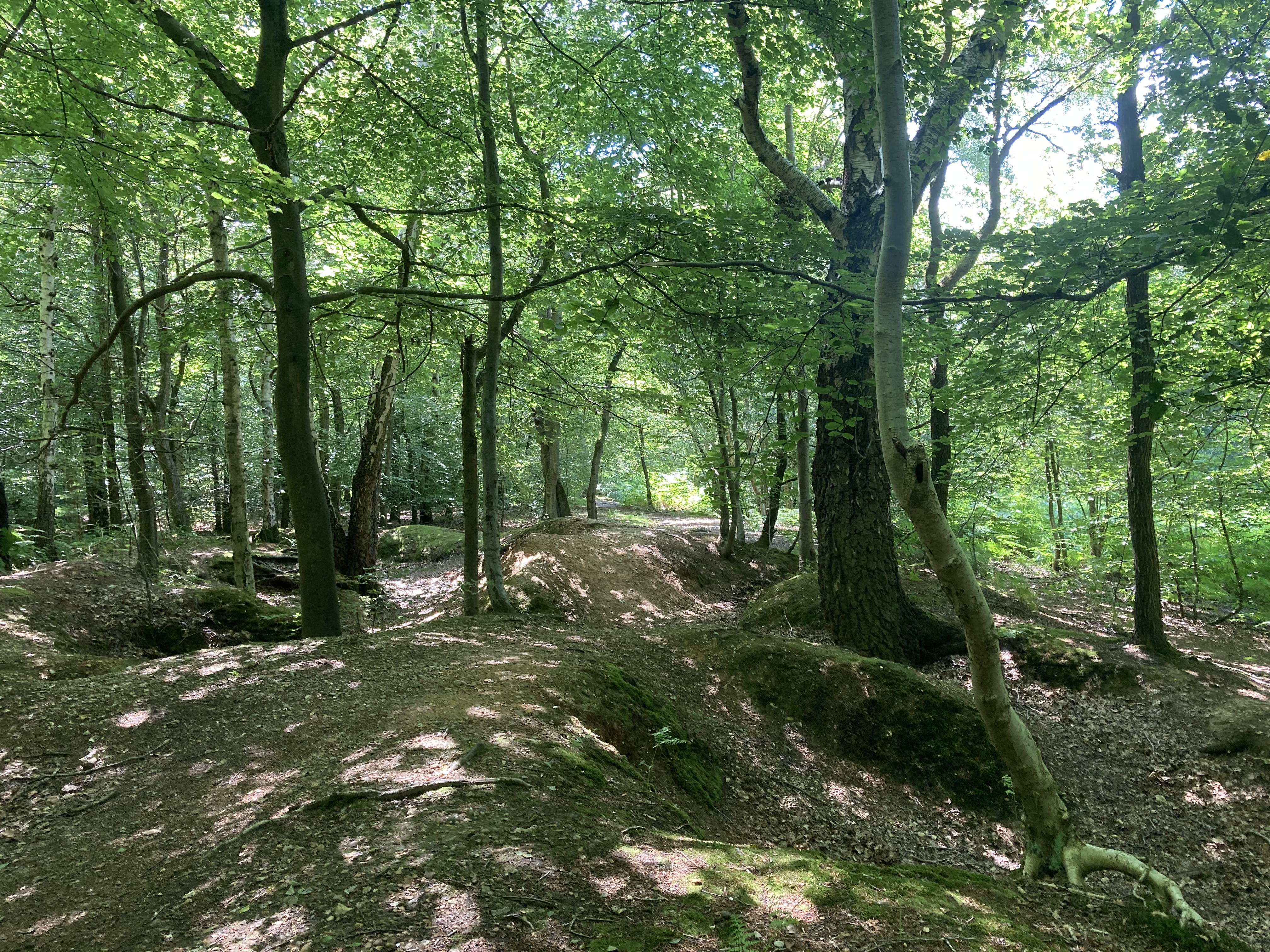 training trenches marlow