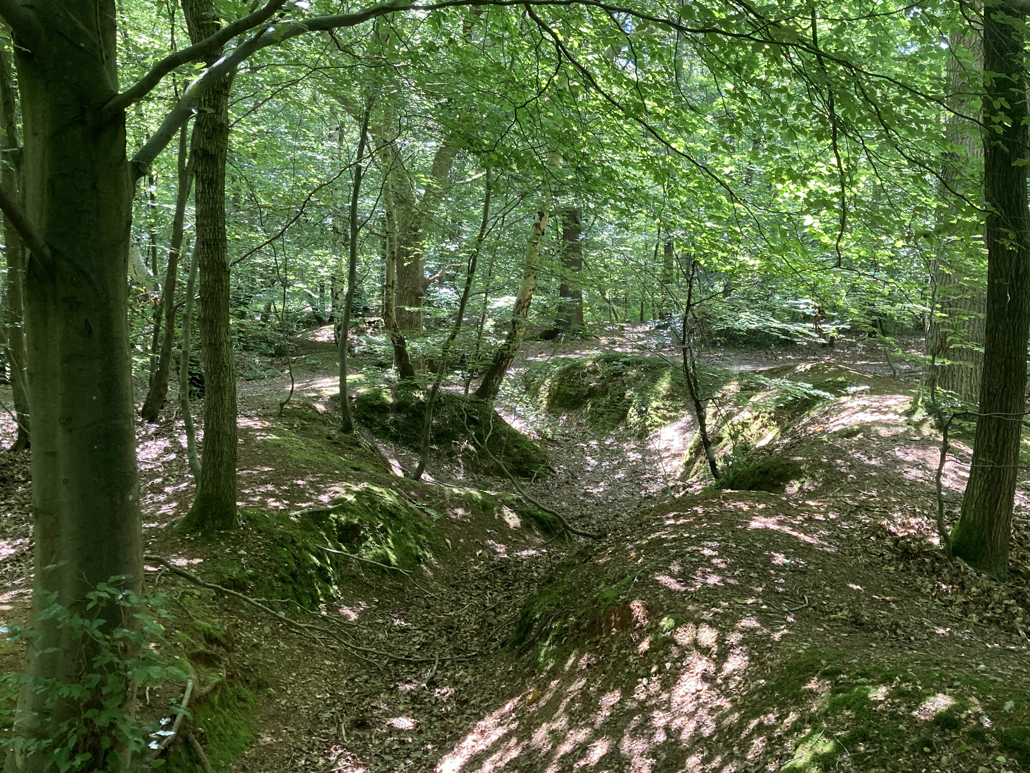 training trenches marlow
