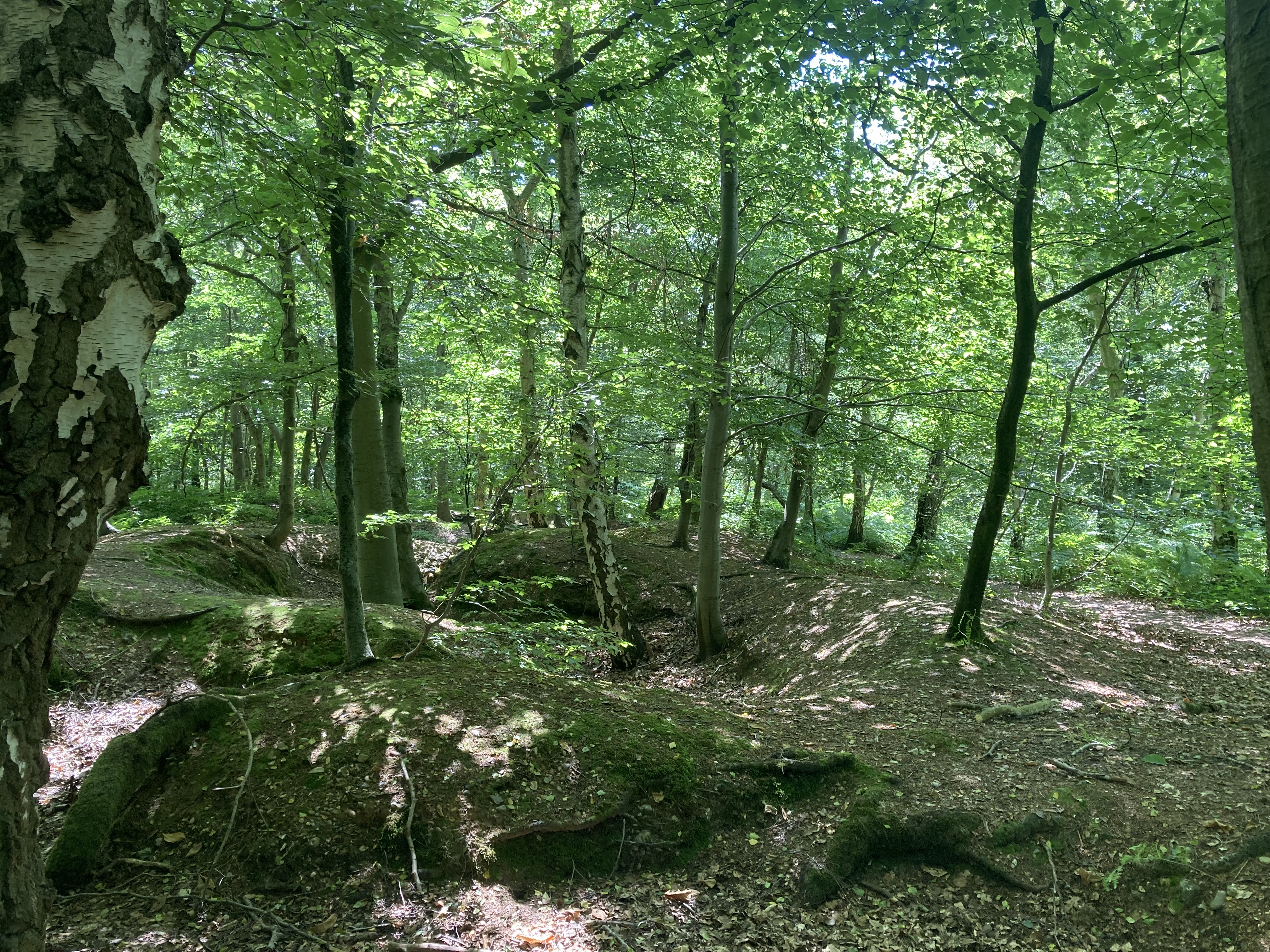 training trenches Marlow