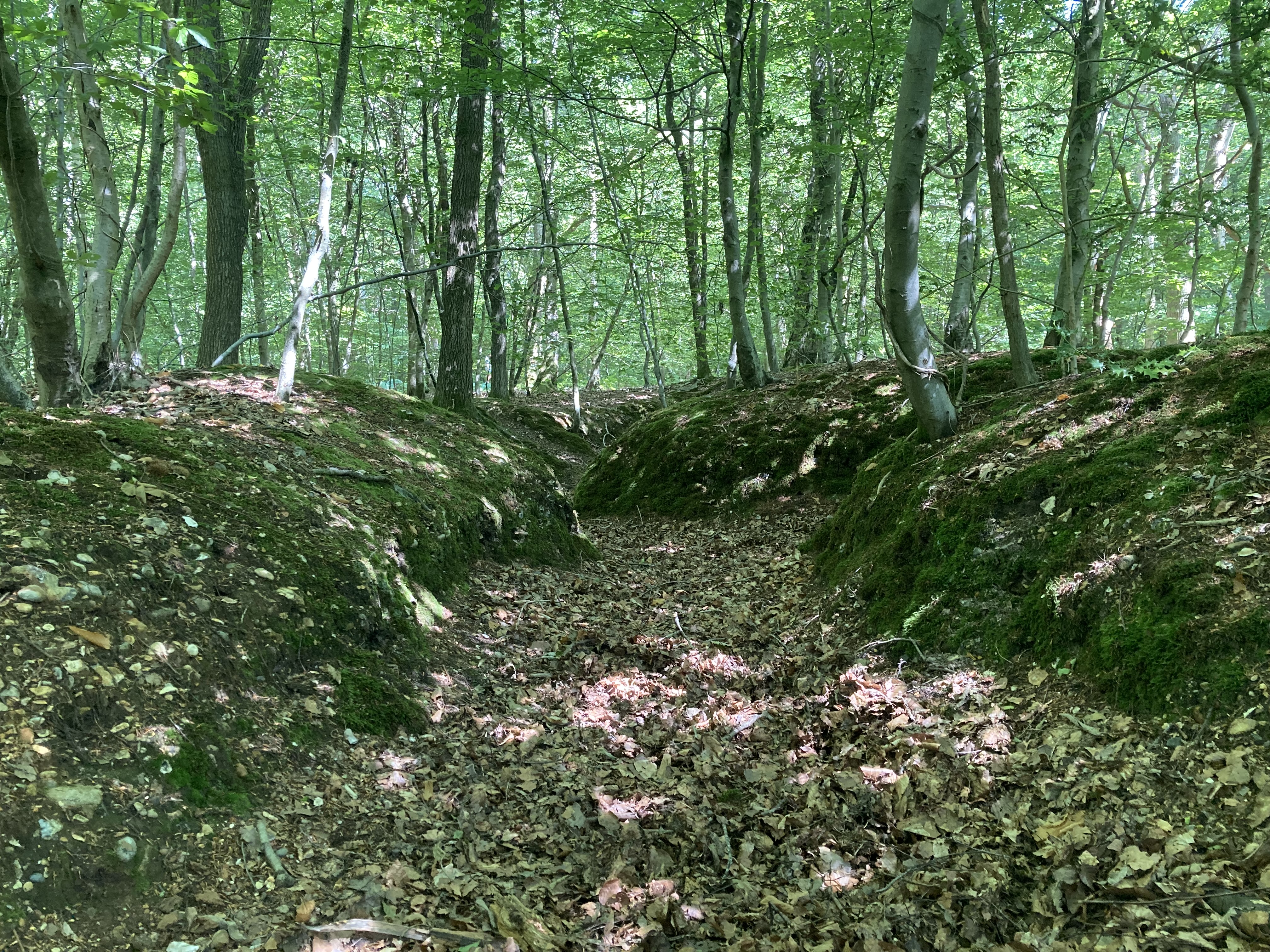 Touring the remains of First World War training trenches near Marlow.