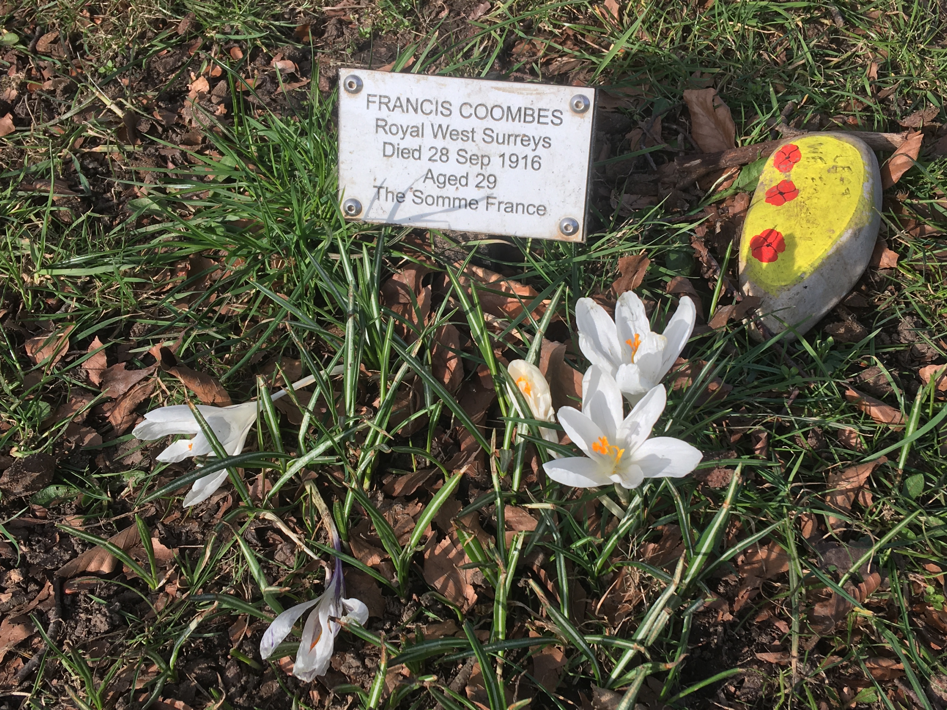 A plaque and memorial tree dedicated to Tylers Green First World War soldier Francis Coombes