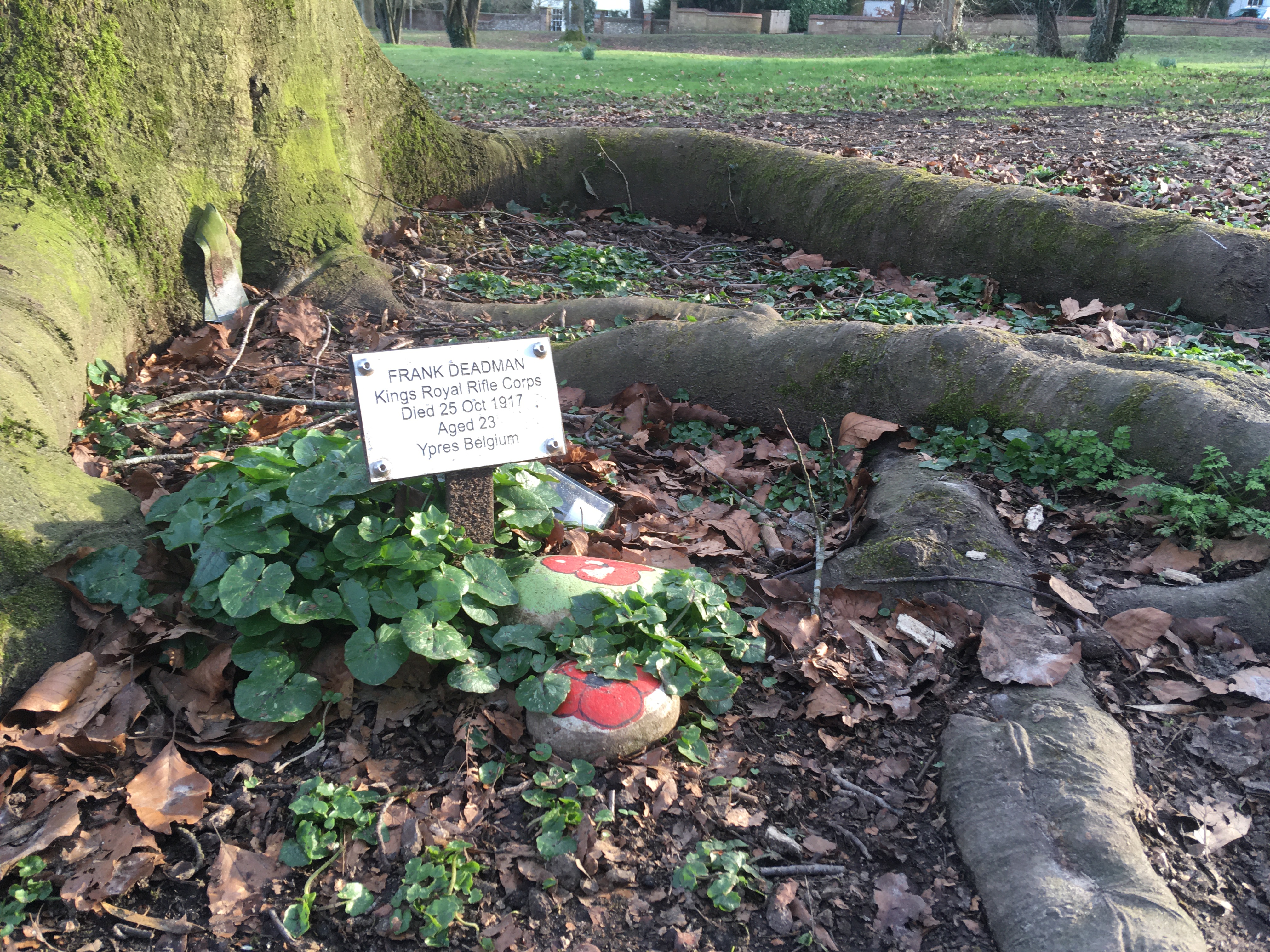 First World War memorial tree in Tylers Green Buckinghamshire