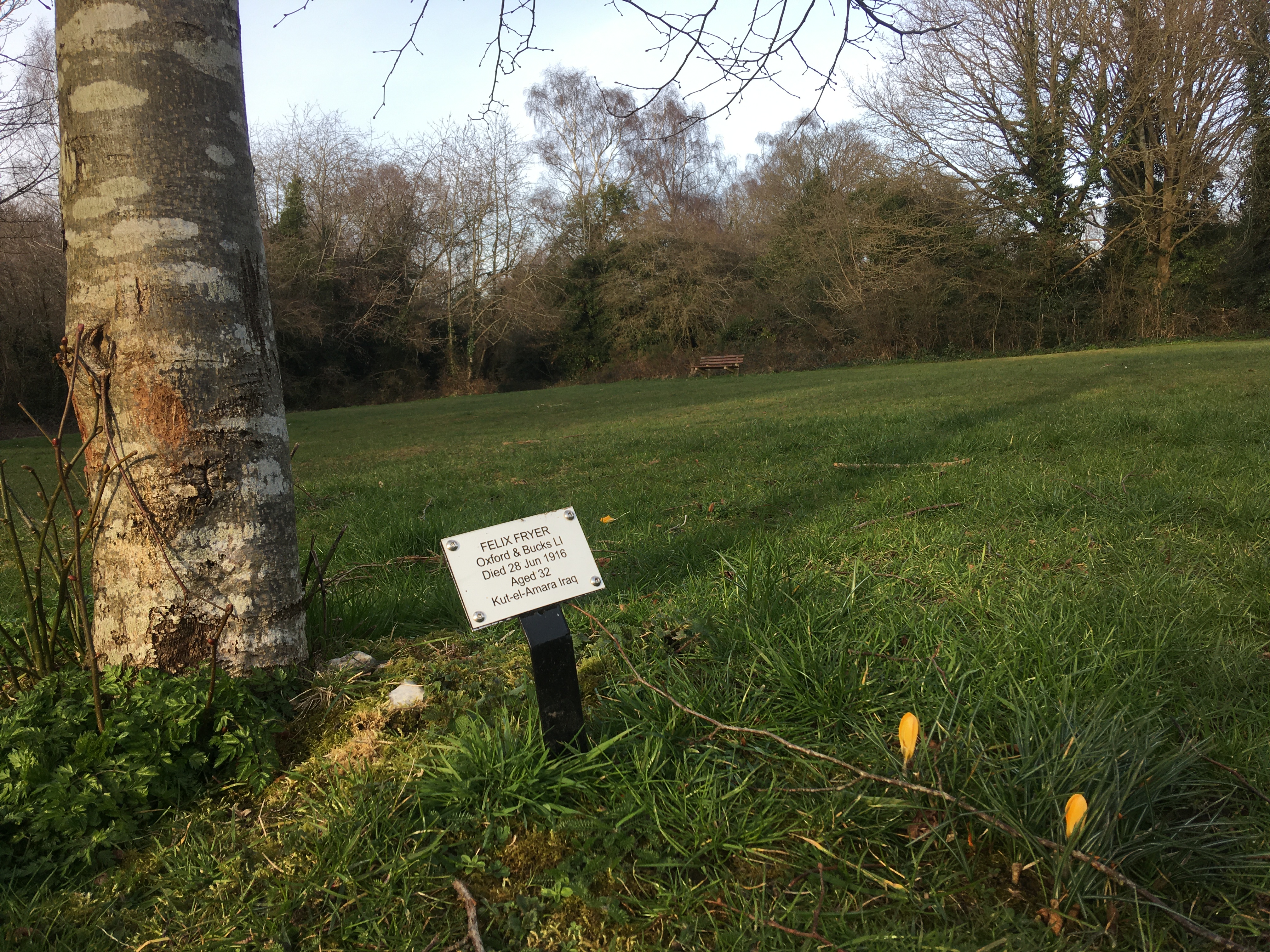 Felix Fryer Oxford and Bucks Light Infantry Tylers Green memorial tree