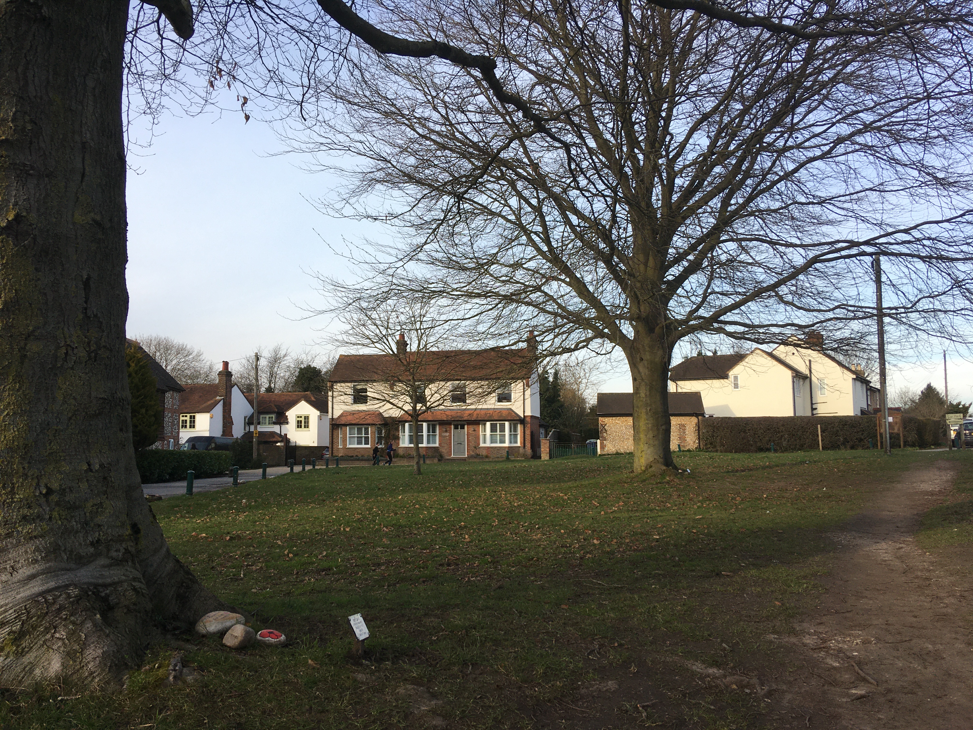 First World War Memorial trees in Tylers Green Buckinghamshire