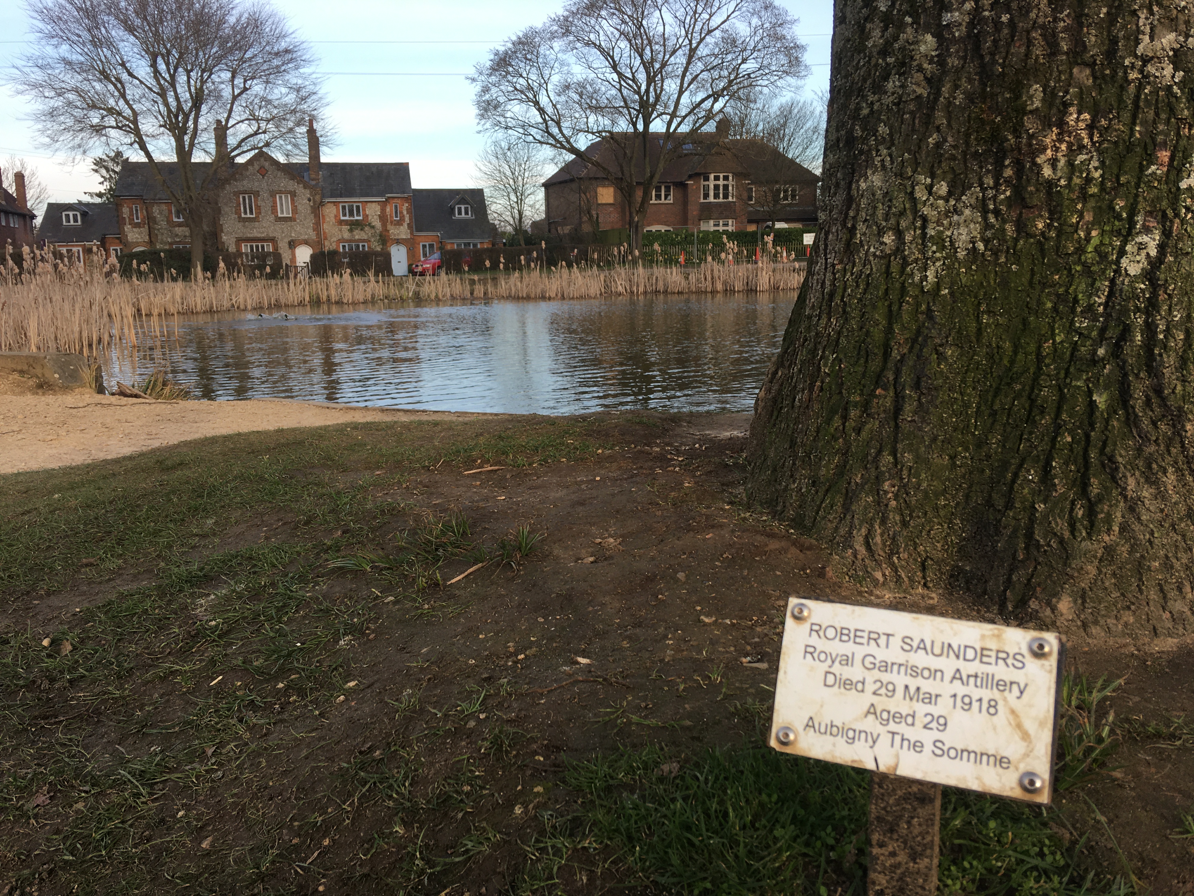 Widmer Pond and Memorial Tree in Tylers Green Buckinghamshire