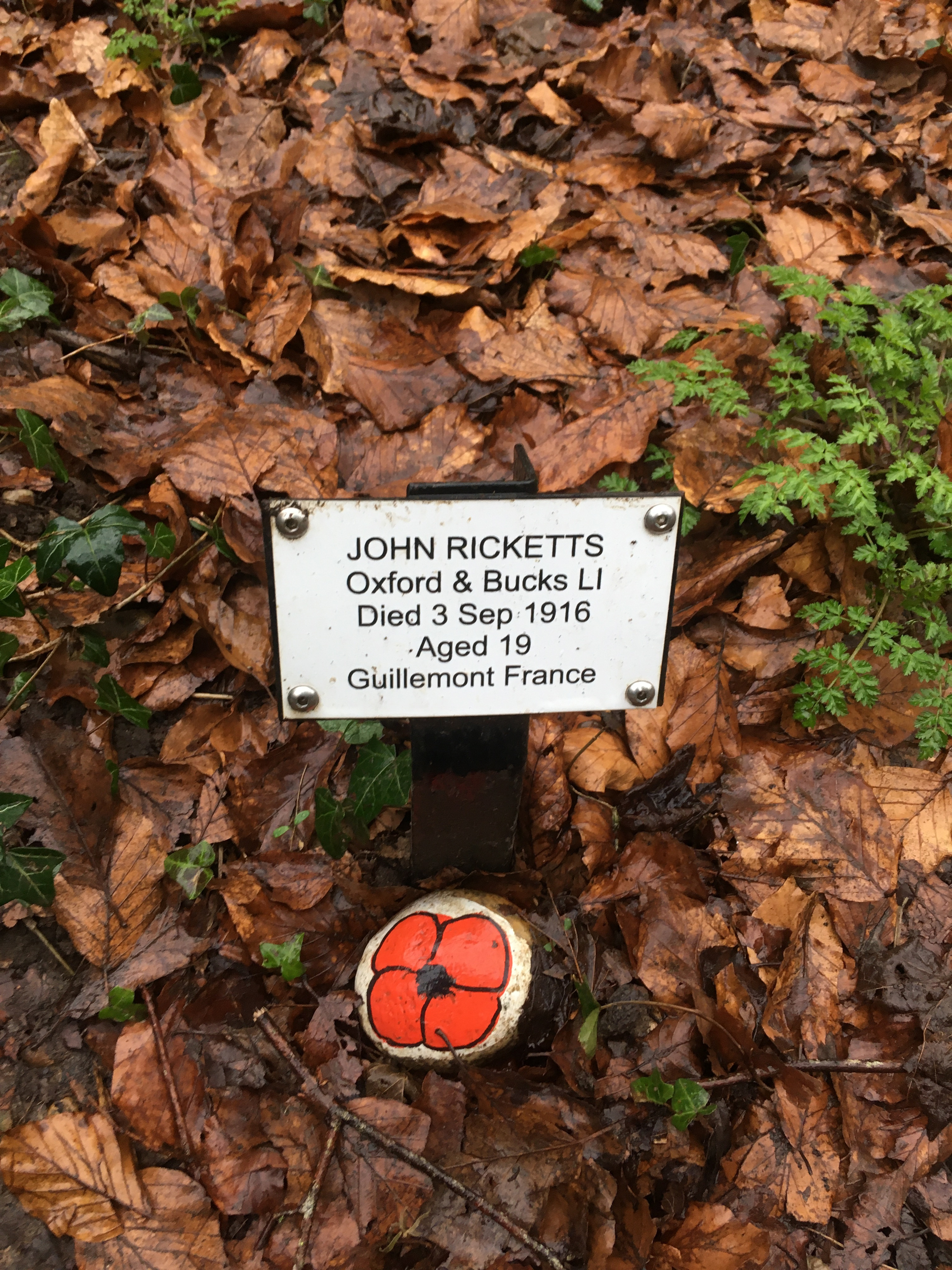 Private John Henry Ricketts’ plaque by his memorial tree in Tylers Green