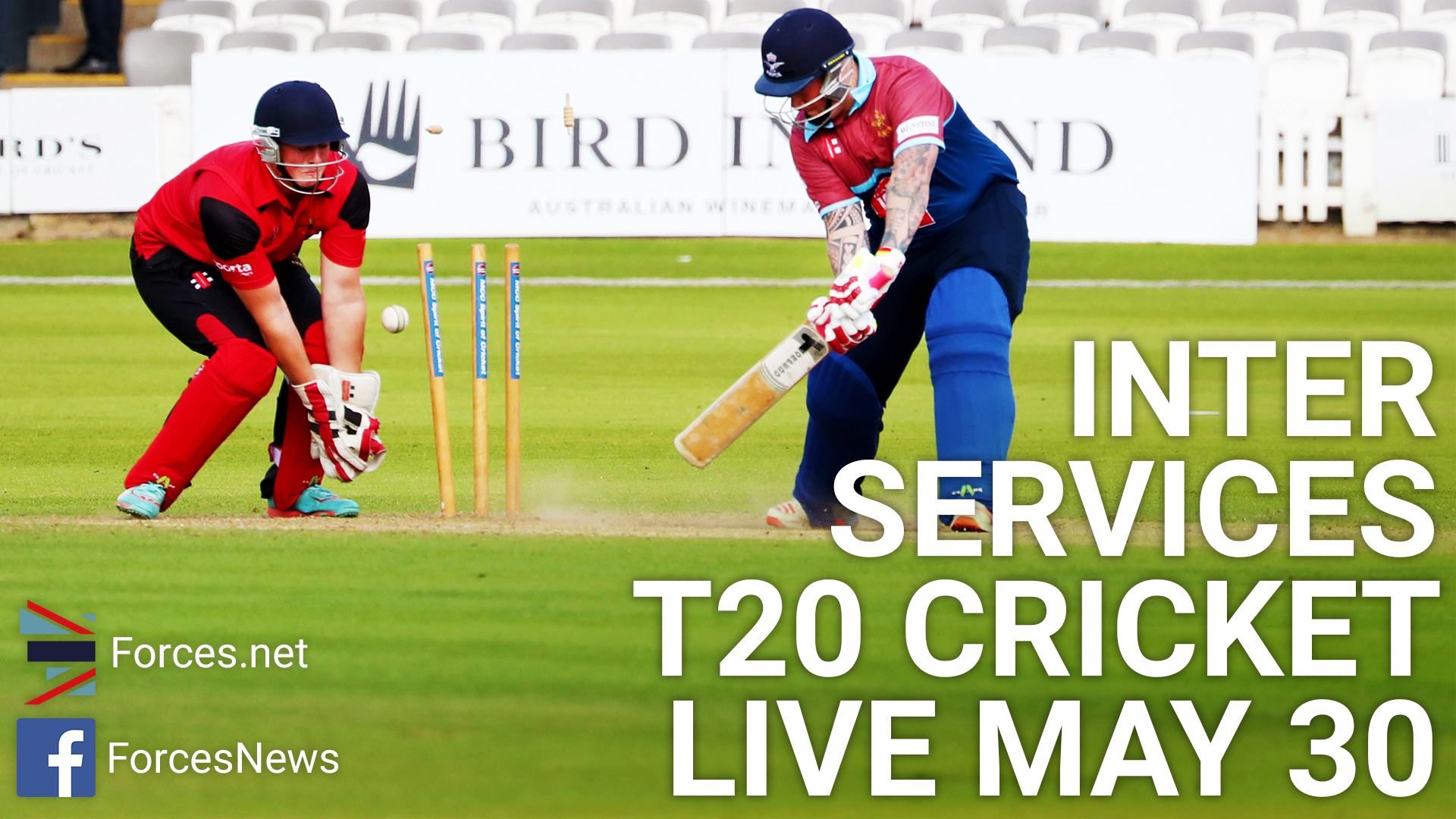 IS Cricket 1920x1080_1.png