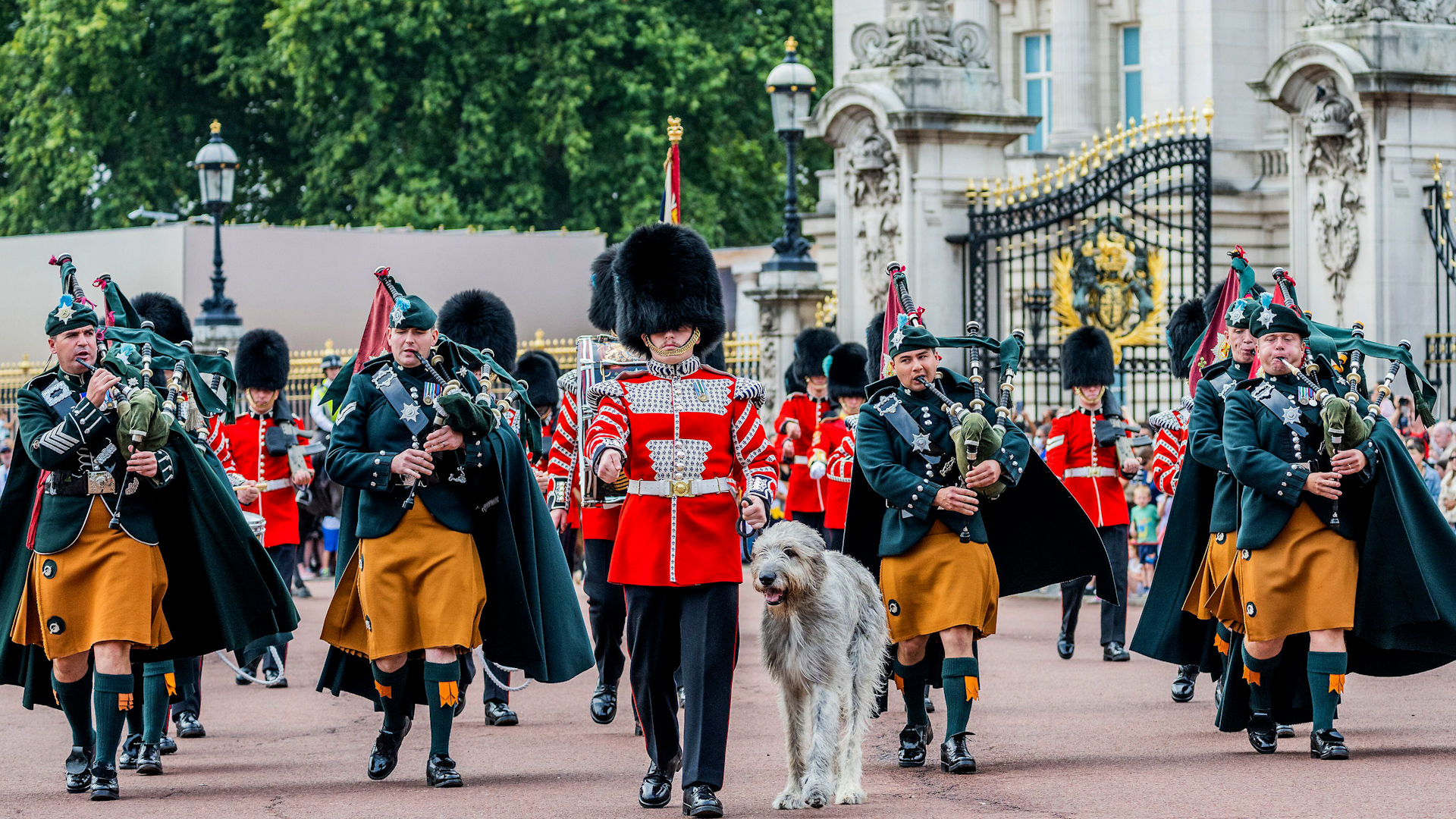 Regimental Mascot, Irish Wolfhound Turlough Mor, took part in the Changing of the Guard ceremony 