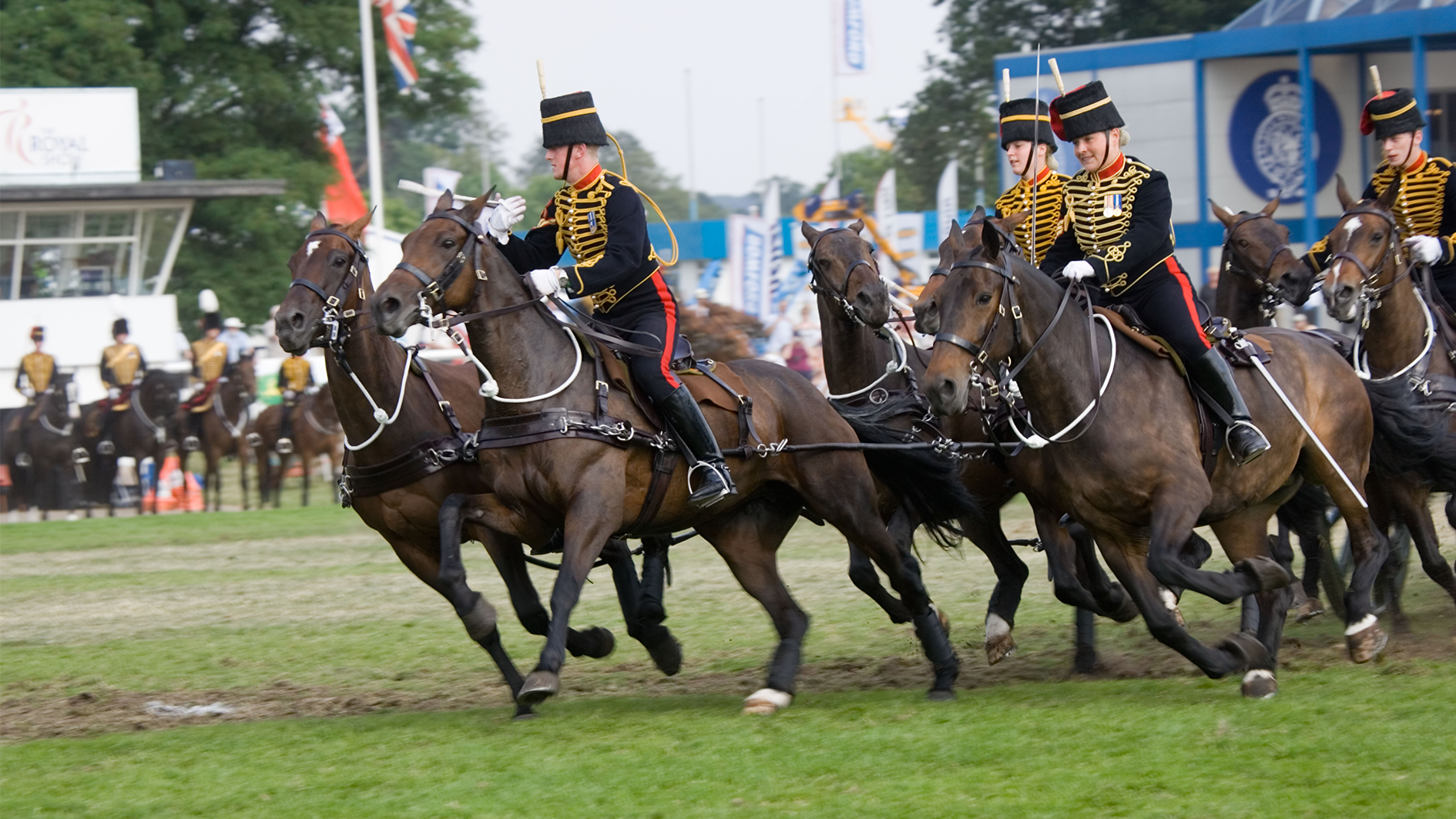 Kings Troop Royal Horse Artillery display in Grand Ring Royal Show Stoneleigh