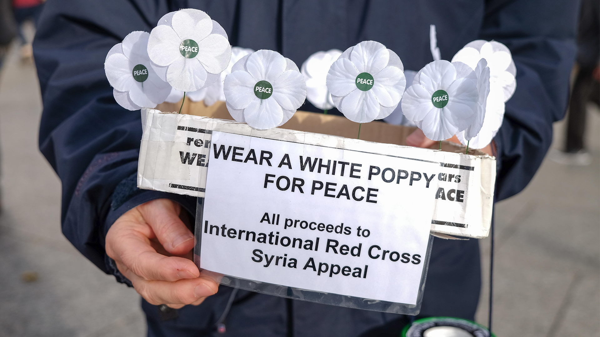 Image ID E9TWWE White Poppy Appeal For Peace CREDIT ALAMY