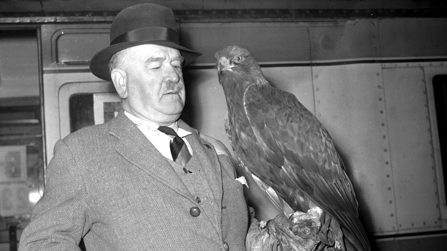 Image ID 2Y6NCWY Captain Charles Knight and his golden eagle Mr Ramshaw pictured together at Waterloo Station NO REUSE CREDIT Smith Archive / Alamy Stock Photo