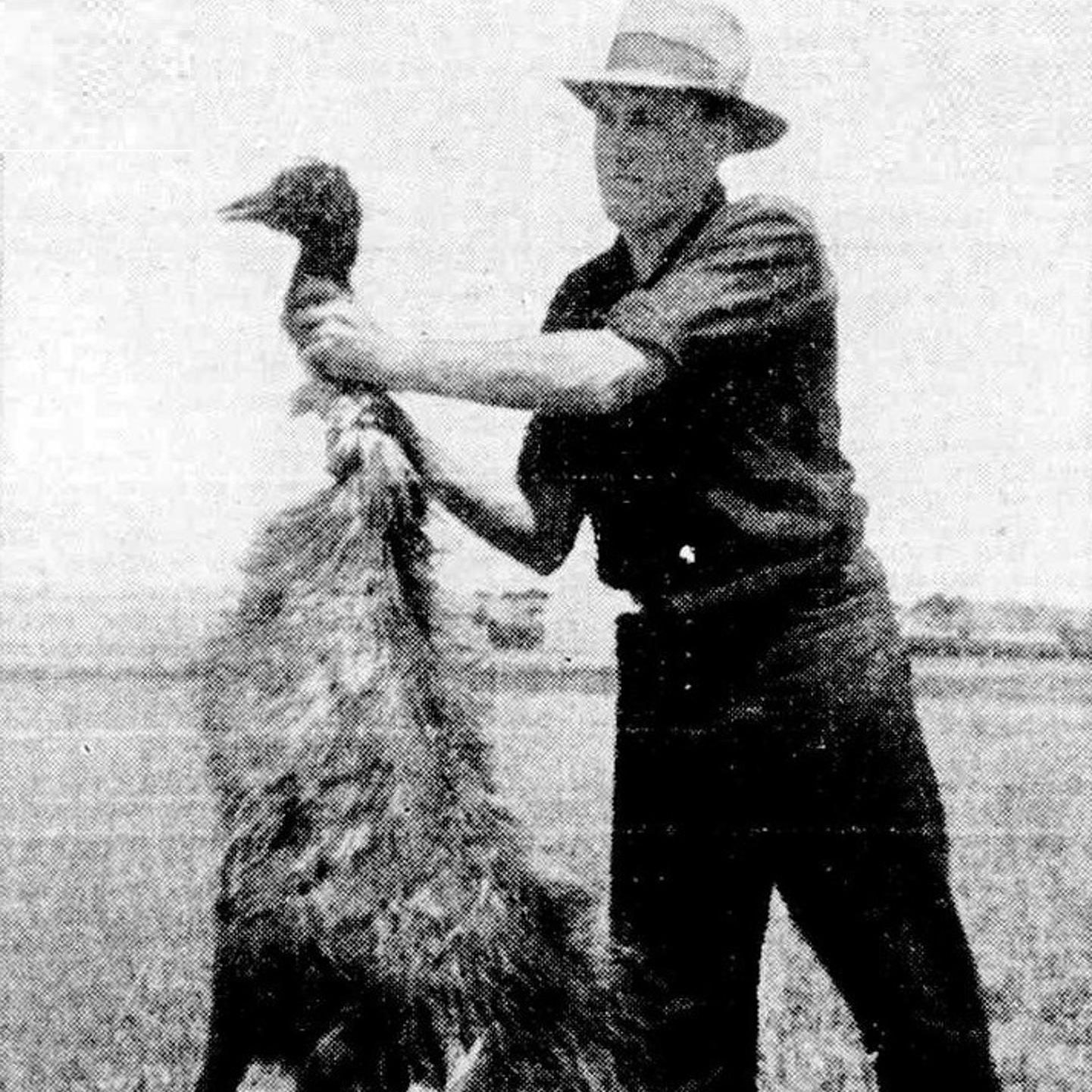 Image ID KFA931 a dead emu is held up for the camera during Australia's Great Emu War in 1932 CREDIT Historic Collection Alamy Stock Photo EXP 231124