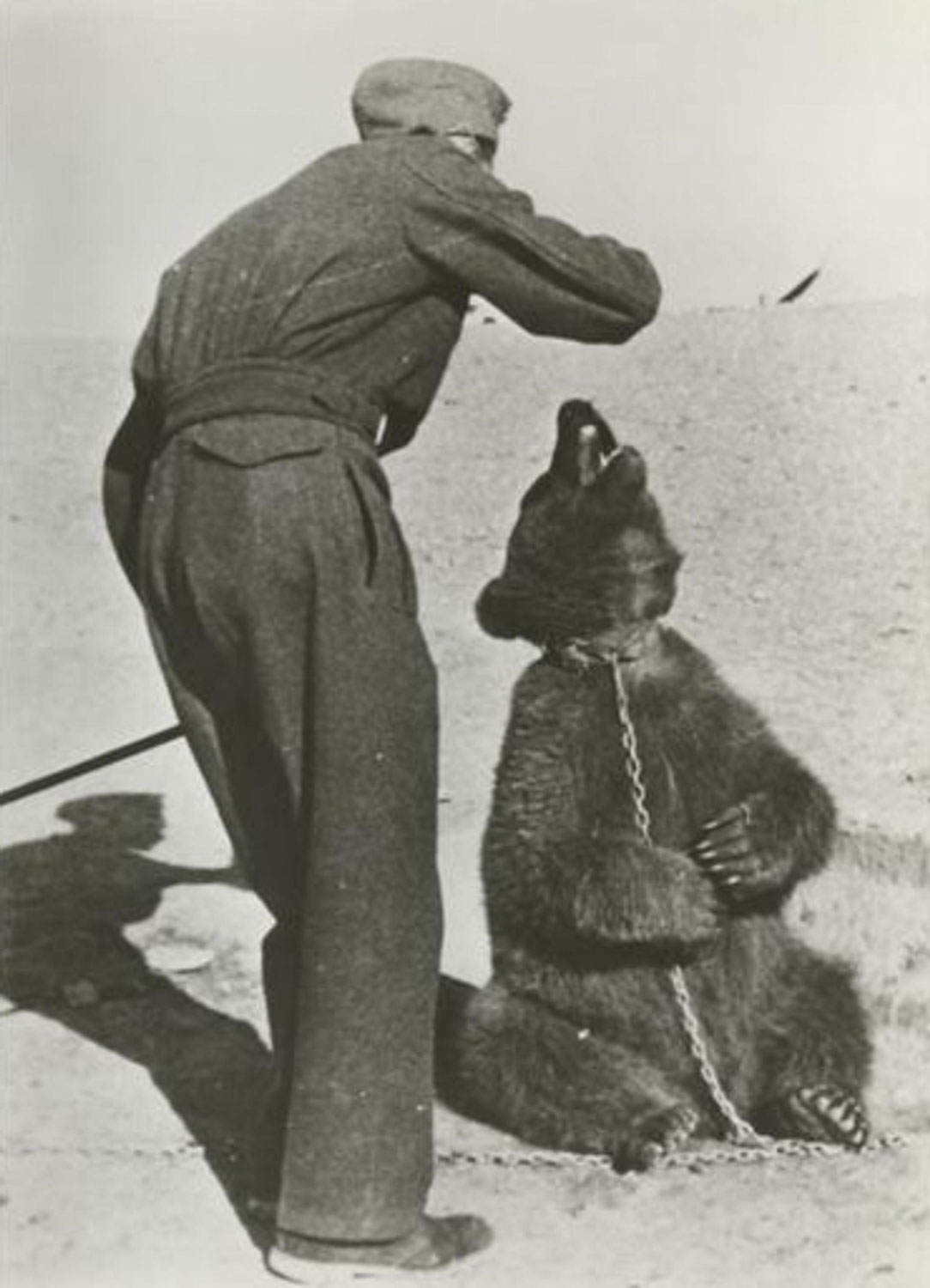 Image ID MWNTDK a Polish soldier pictured in Iran with Wojtek the bear during WW2 CREDIT The Picture Art Collection Alamy Stock Photo 231124