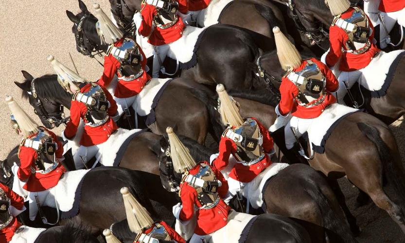 Household Cavalry Horses