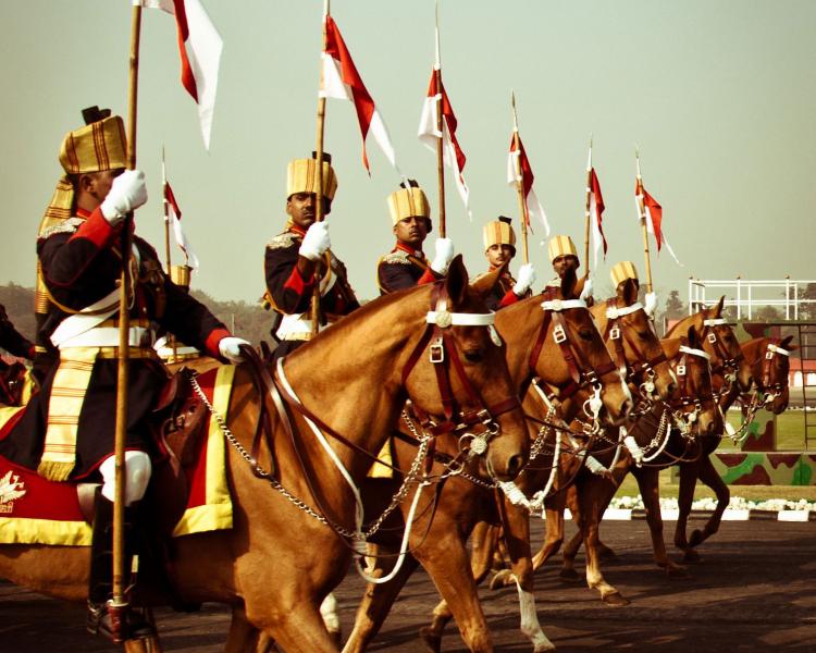 Indian 61st Cavalry Regiment (Catherine Cartwright)