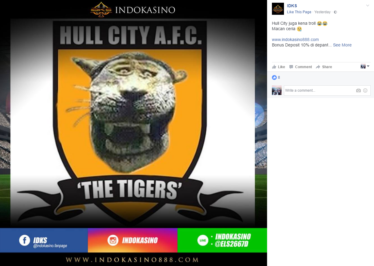 Hull Tiger
