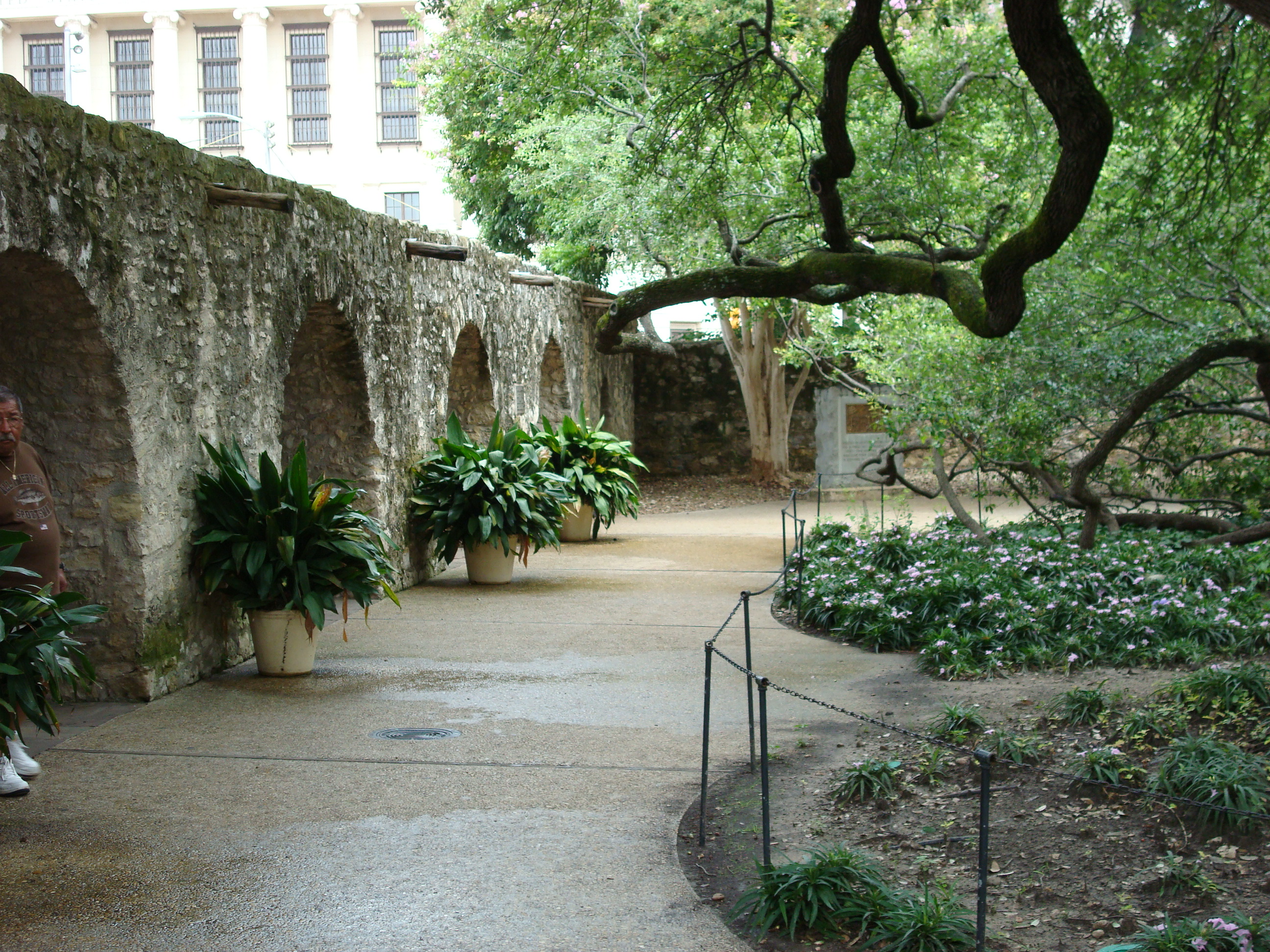 Texas US history