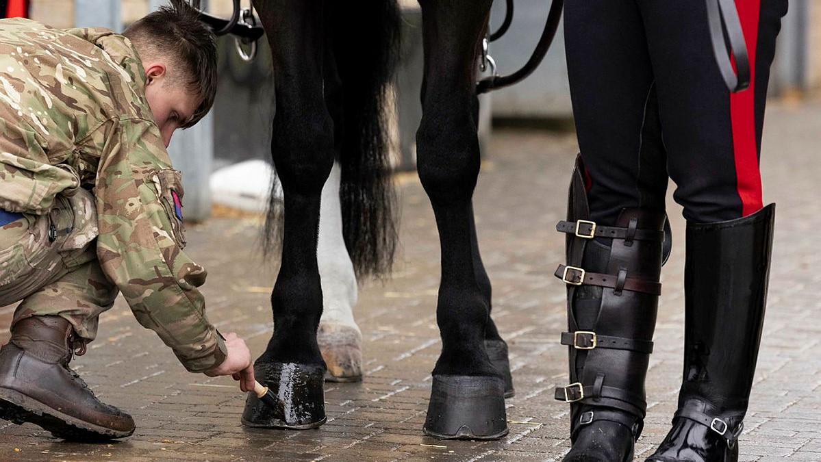 Inspection KIng's Troop RHA 14032023 CREDIT MOD.jpg