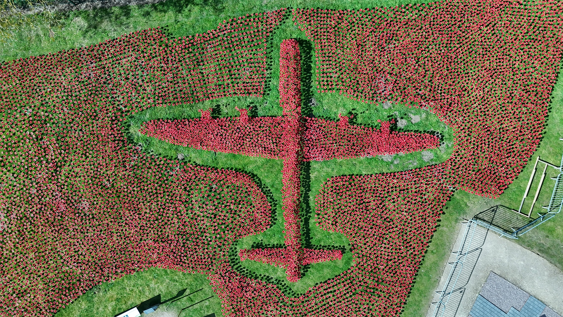 It took more than 20,000 poppies to create the Lancaster