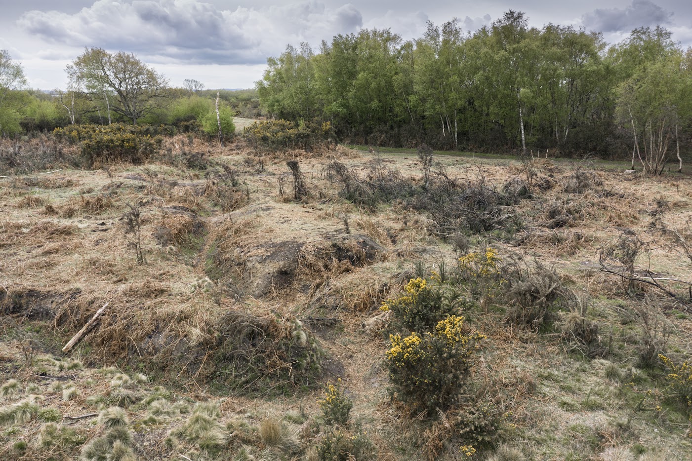 Irregular trench complex at Browndown CREDIT Historic England Archive