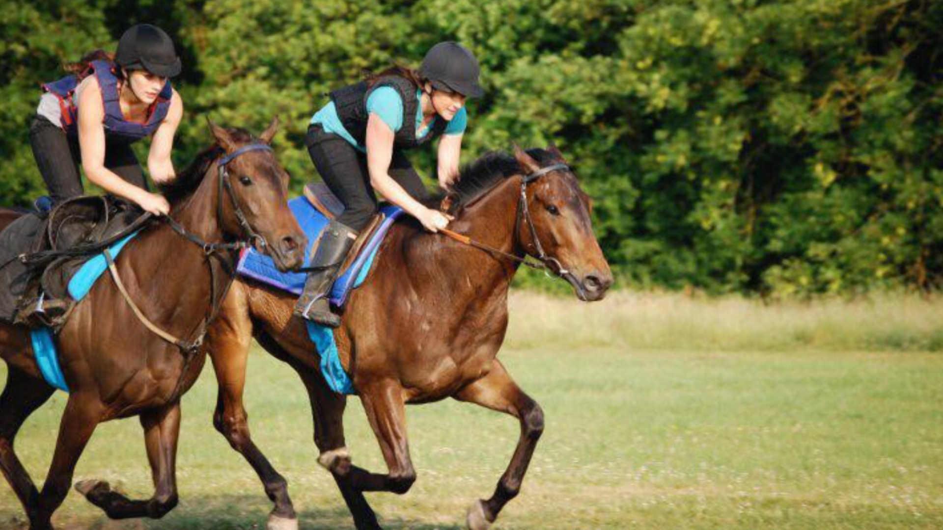 Jane McGilll Horse Training 