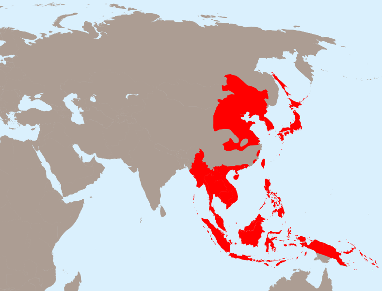 second world war